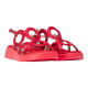 Wonders Toledo Rojo