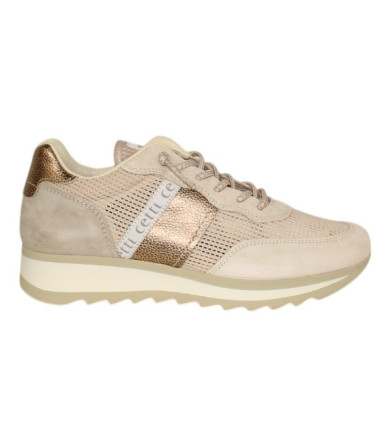 Cetti C849 Camel
