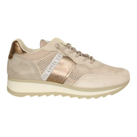 Cetti C849 Camel