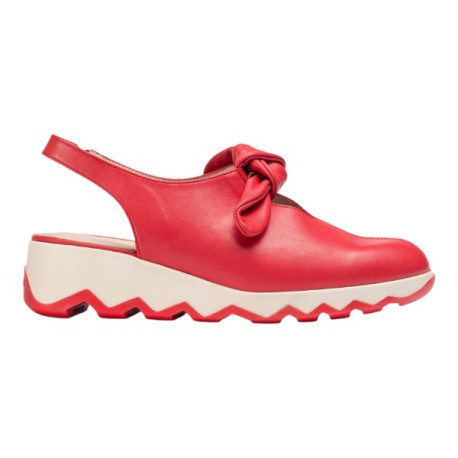 Wonders Aixa Rojo